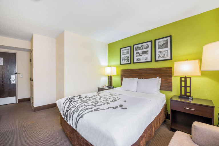 Bedroom 2, Sleep Inn Statesville I-40, Iredell