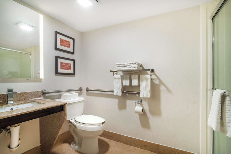Bathroom 4, Comfort Inn & Suites Lake Norman, Mecklenburg