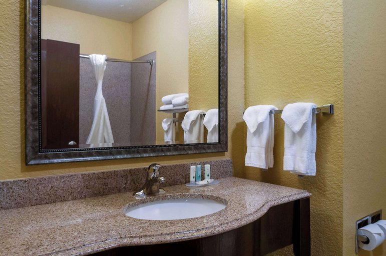 Bathroom 4, Quality Inn & Suites Slidell, Saint Tammany