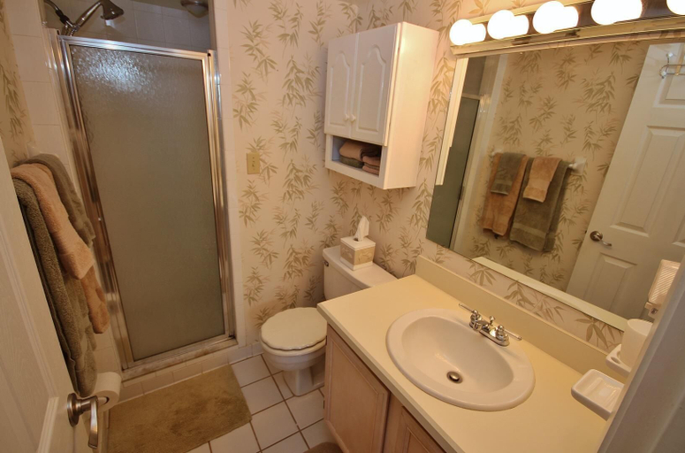 Bathroom 5, Hacienda del Sol II 506, Volusia
