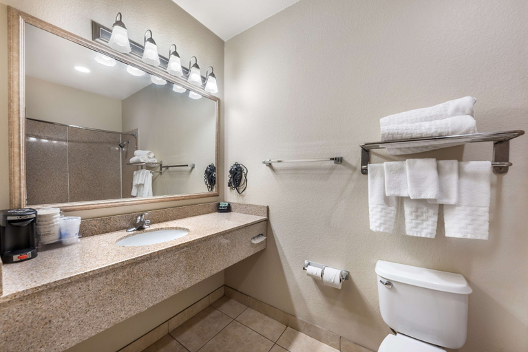 Bathroom 4, Best Western La Grange Inn & Suites, Fayette