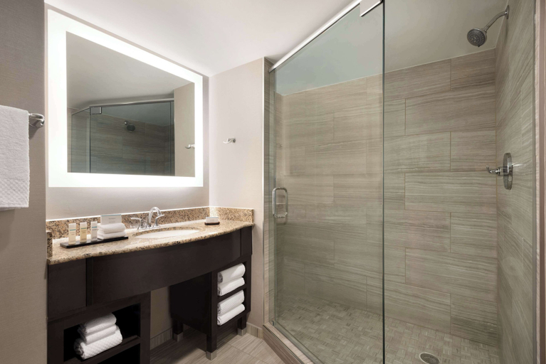 Bathroom 4, Embassy Suites by Hilton Atlanta Alpharetta, Fulton