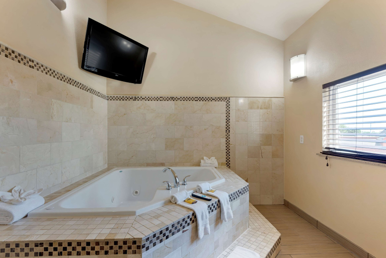 Bathroom 4, Best Western Plus Arlington North Hotel & Suites, Arlington