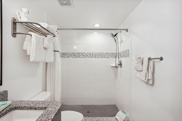 Bathroom 4, Oceana 301 East, Pinellas