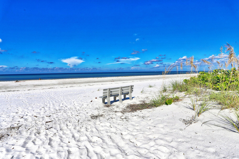Others 3, Valdes Cottage, Pinellas
