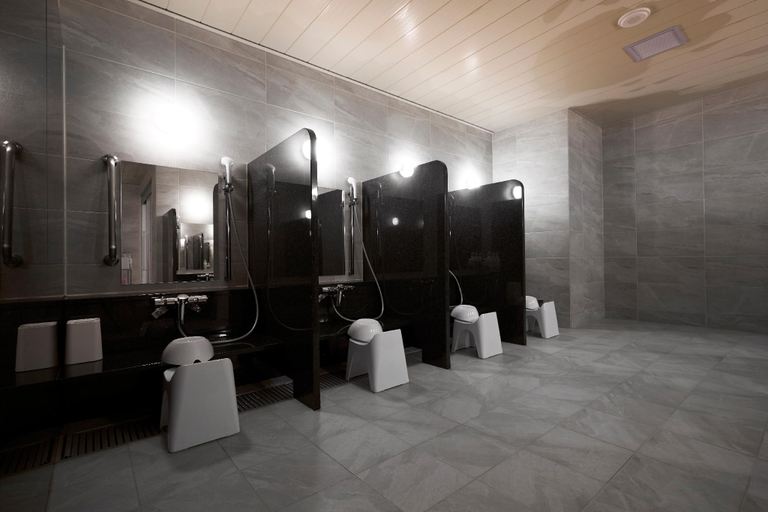 Bathroom 4, Daiwa Roynet Hotel Sapporo Nakajima Koen, Sapporo
