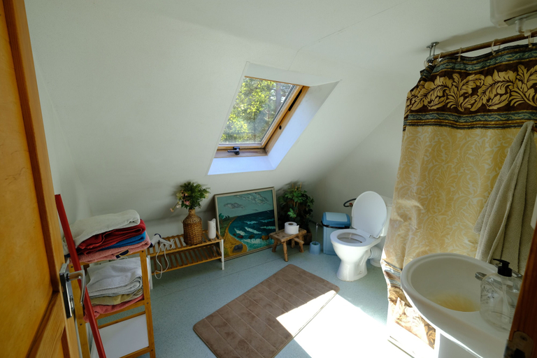 Bathroom 3, Kallaste Turismitalu & Holiday Resort, Padise