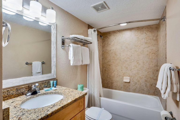Bathroom 4, Crystal Palms 201, Pinellas