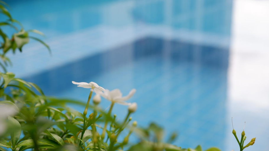 Sport & Beauty 3, Residence 187, Wattana