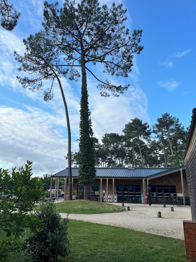 Exterior & Views 2, Bungalow 4-6 personnes Dunes de Contis, Landes