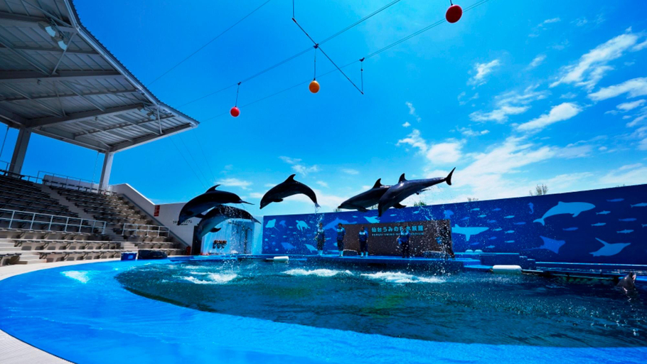 Sport & Beauty, Value The Hotel Higashimatsushima yamoto, Higashimatsushima