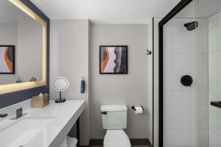 Bathroom 5, DoubleTree by Hilton Las Vegas Airport, Clark