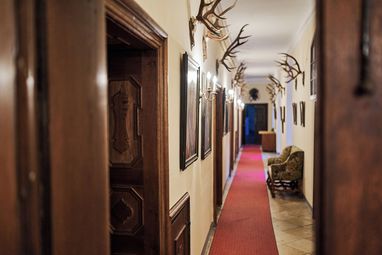 Others 3, Schloss Drosendorf, Horn