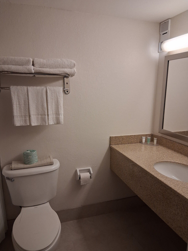Bathroom 5, Gulfview Hotel on the Beach, Pinellas