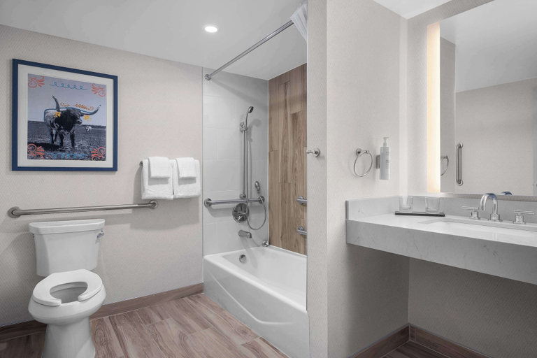 Bathroom 4, Embassy Suites by Hilton El Paso, El Paso