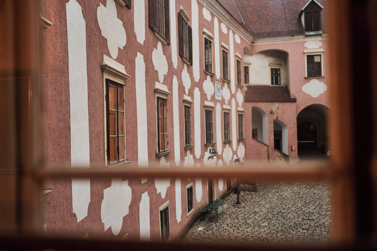 Others 5, Schloss Drosendorf, Horn