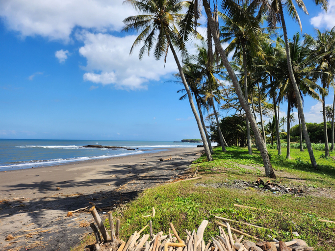 Others 5, UNITED COLORS OF BALI NATURE, Badung
