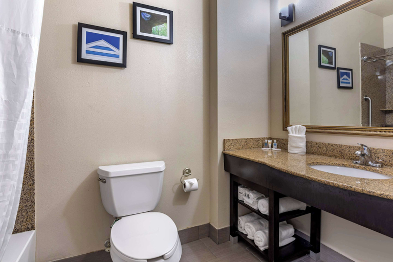 Bathroom 4, Comfort Suites Shreveport West I-20, Caddo