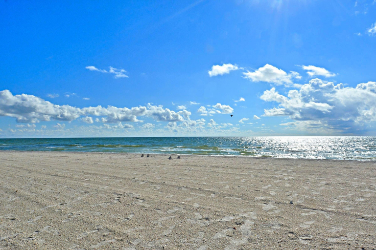 Others 5, Land's End 10-205 Beach Front, Pinellas