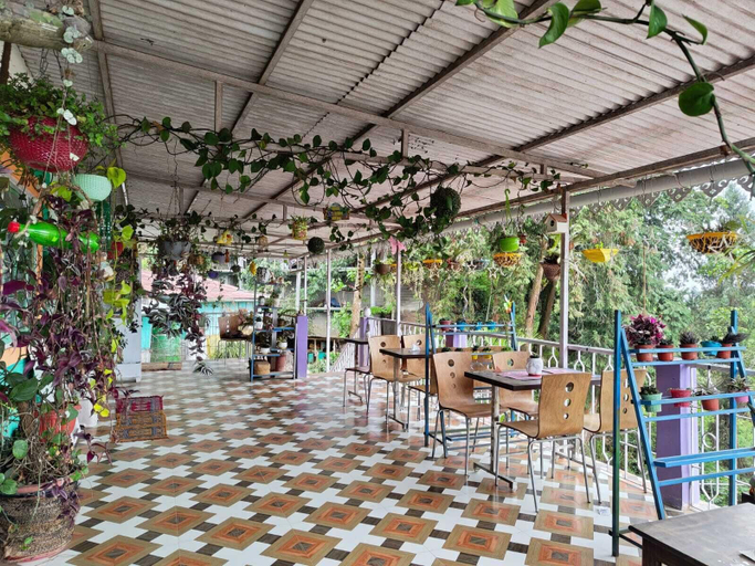 Food & Drinks 2, Kusuman Homestay, Darjiling