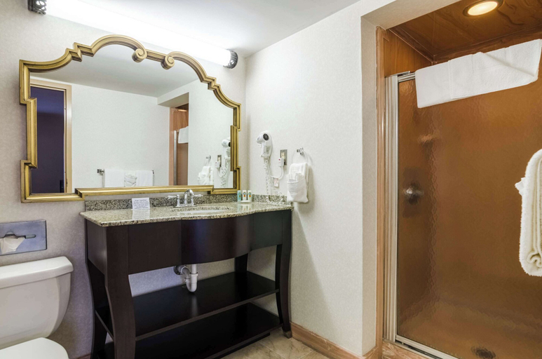 Bathroom 4, Quality Inn & Suites Winfield, Cowley
