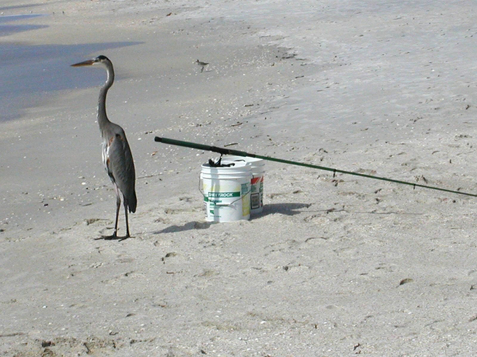 Others 2, Beach Haven #C7, Pinellas