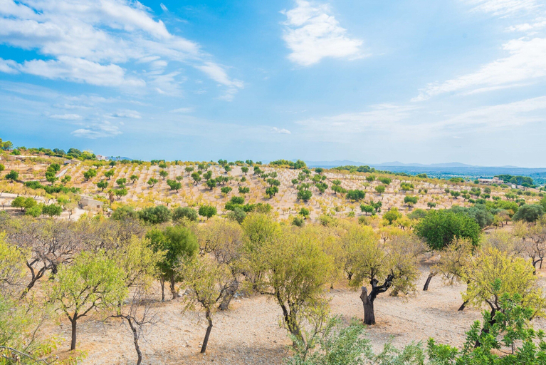 Exterior 4, Sa Mata - Villa With Private Pool In Campanet, Baleares