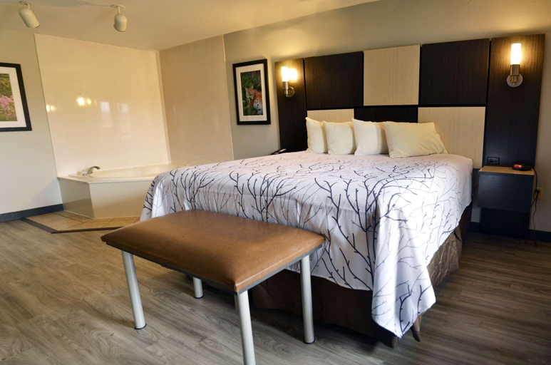 Bedroom 3, Best Western Cades Cove Inn, Blount