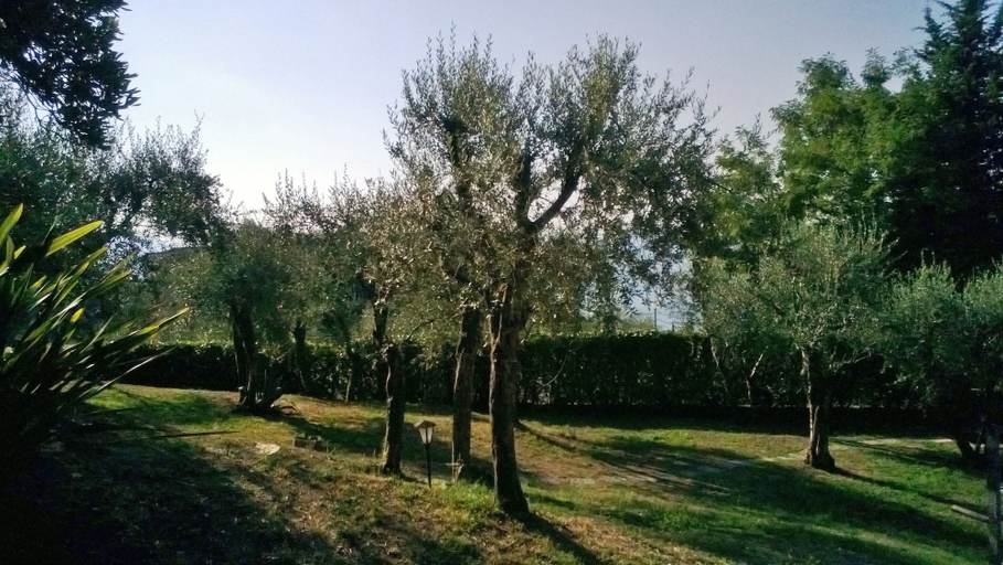 Others 5, Antico Fienile Belvedere, Brescia