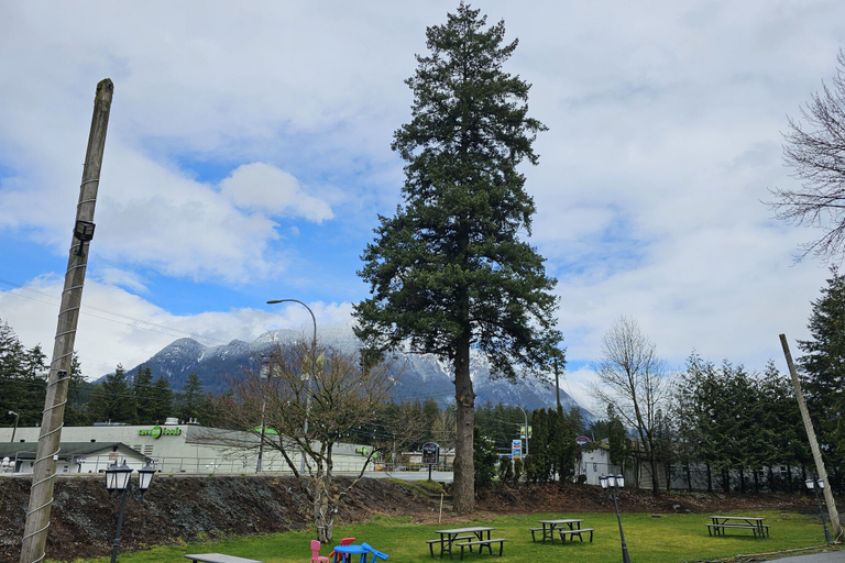 Others 4, Mountain View Hope Motel, Fraser Valley