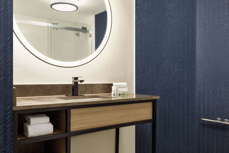 Bathroom 4, Fairfield Inn & Suites by Marriott Austin Southwest, Travis
