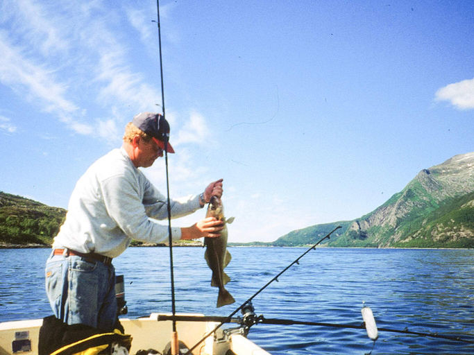 Others 5, star holiday home in Naustbukta, Nærøy