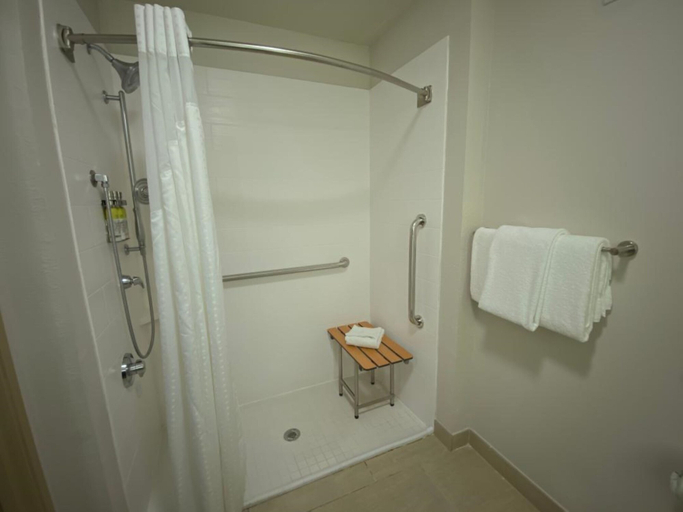 Bathroom 4, Holiday Inn Express & Suites GADSDEN W-NEAR ATTALLA by IHG, Etowah