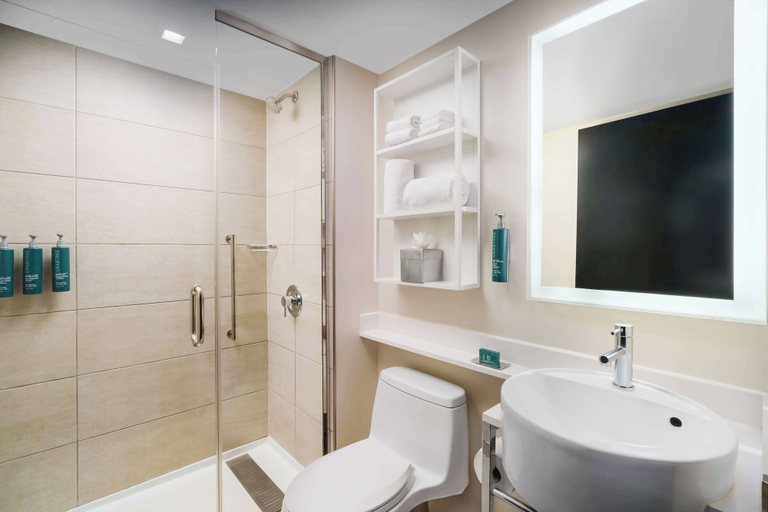 Bathroom 5, DoubleTree by Hilton New York Times Square West, New York