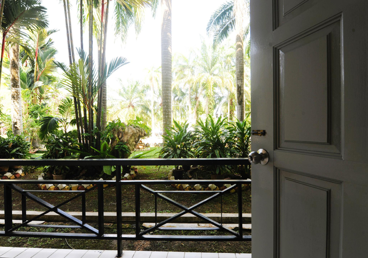 Scenery 8