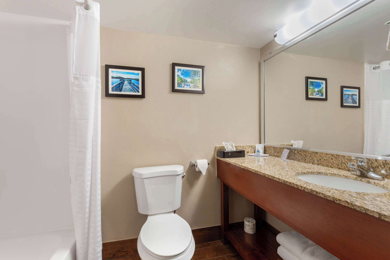 Bathroom 4, Comfort Inn & Suites Milford, Kent