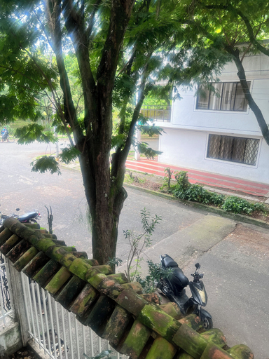 Others 5, Come to me, Santiago de Cali