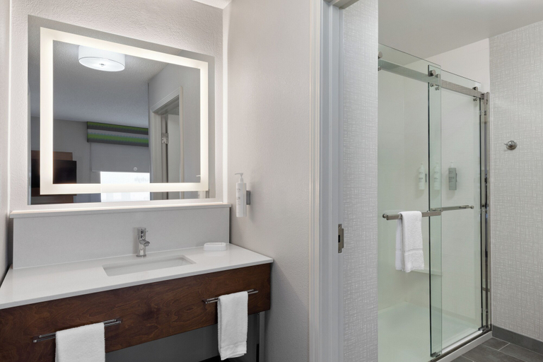 Bathroom 4, Hampton Inn & Suites Dothan, Houston