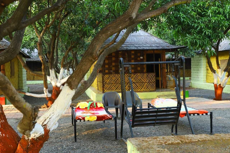 Others 5, Radhe Farm (200mtr from Devaliya Park), Junagadh