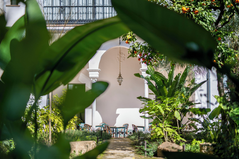 Exterior & Views 2, Hotel Boutique Casa del Limonero, Sevilla