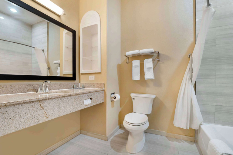 Bathroom 5, Best Western Hebbronville Inn, Jim Hogg