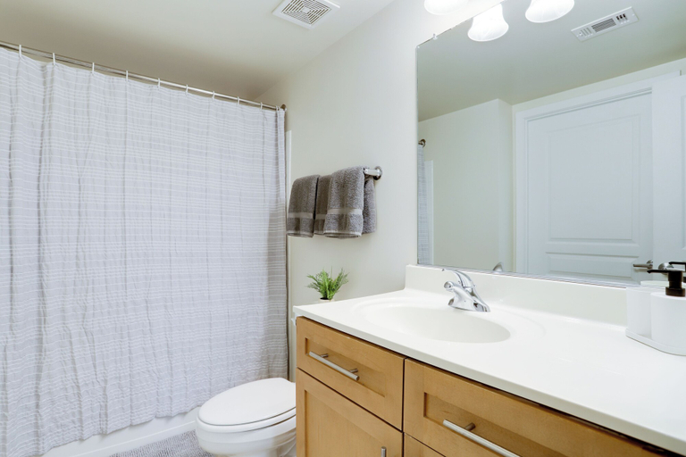 Bathroom 4, Relaxing Vibe Alexandria Apts, Arlington