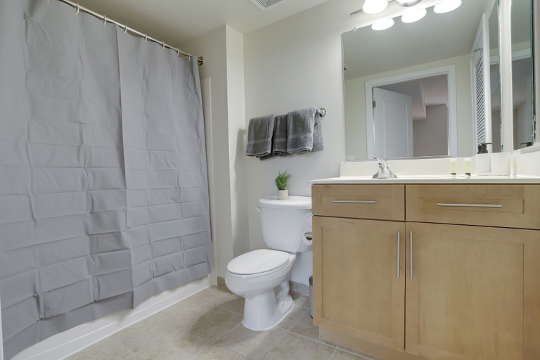 Bathroom 4, Walkable Alexandria Apts, Arlington