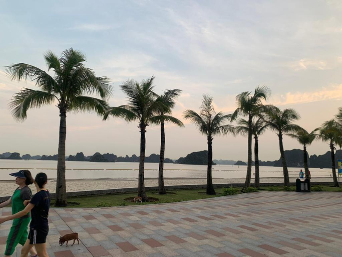 Others 4, MIMOSA HOTEL HA LONG, Hạ Long