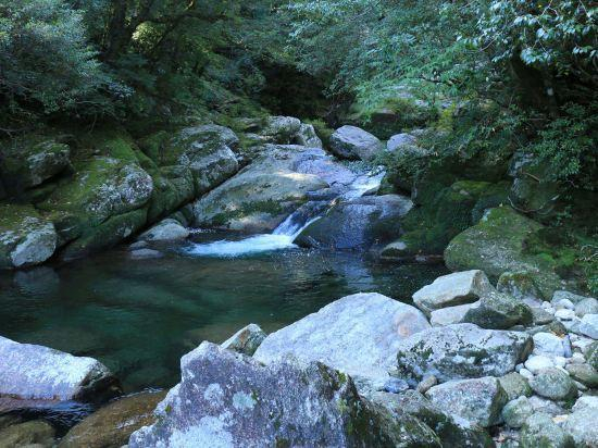 Others 5, Pension Sea Forest, Yakushima