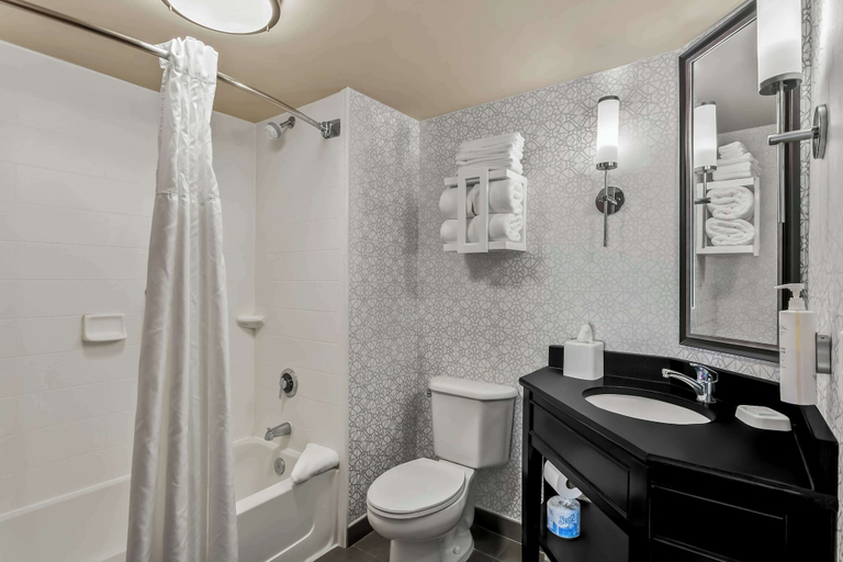 Bathroom 4, Hampton Inn Bowie, Prince George's