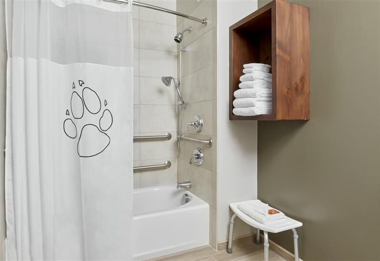Bathroom 3, Great Wolf Lodge Perryville, Cecil
