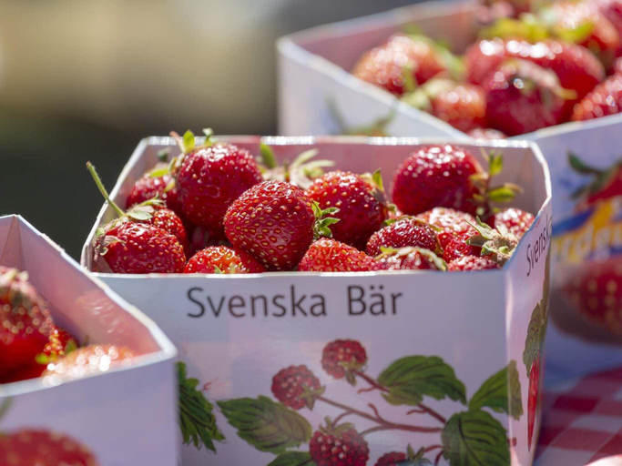 Food & Drinks, star holiday home in STENSJON, Eksjö