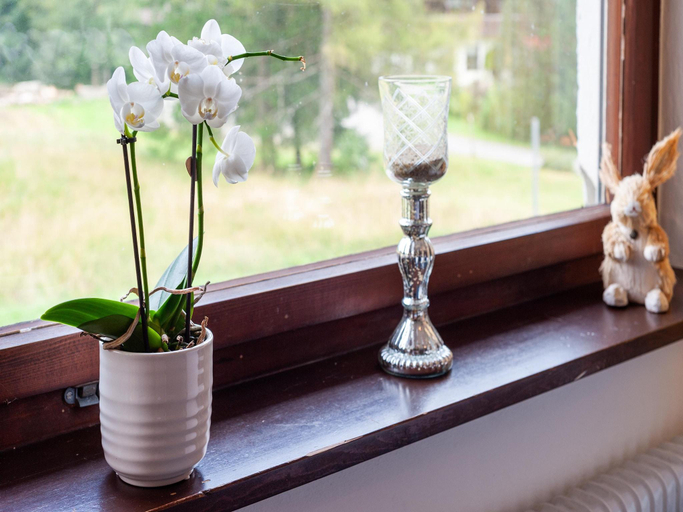 Others 4, Dog-friendly chalet in Bregenzerwald, Bregenz