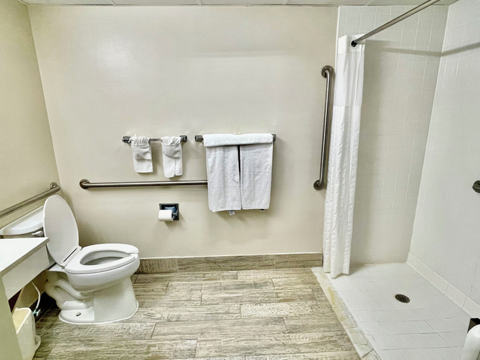 Bathroom 4, Quality Inn & Suites Clemmons I-40, Forsyth